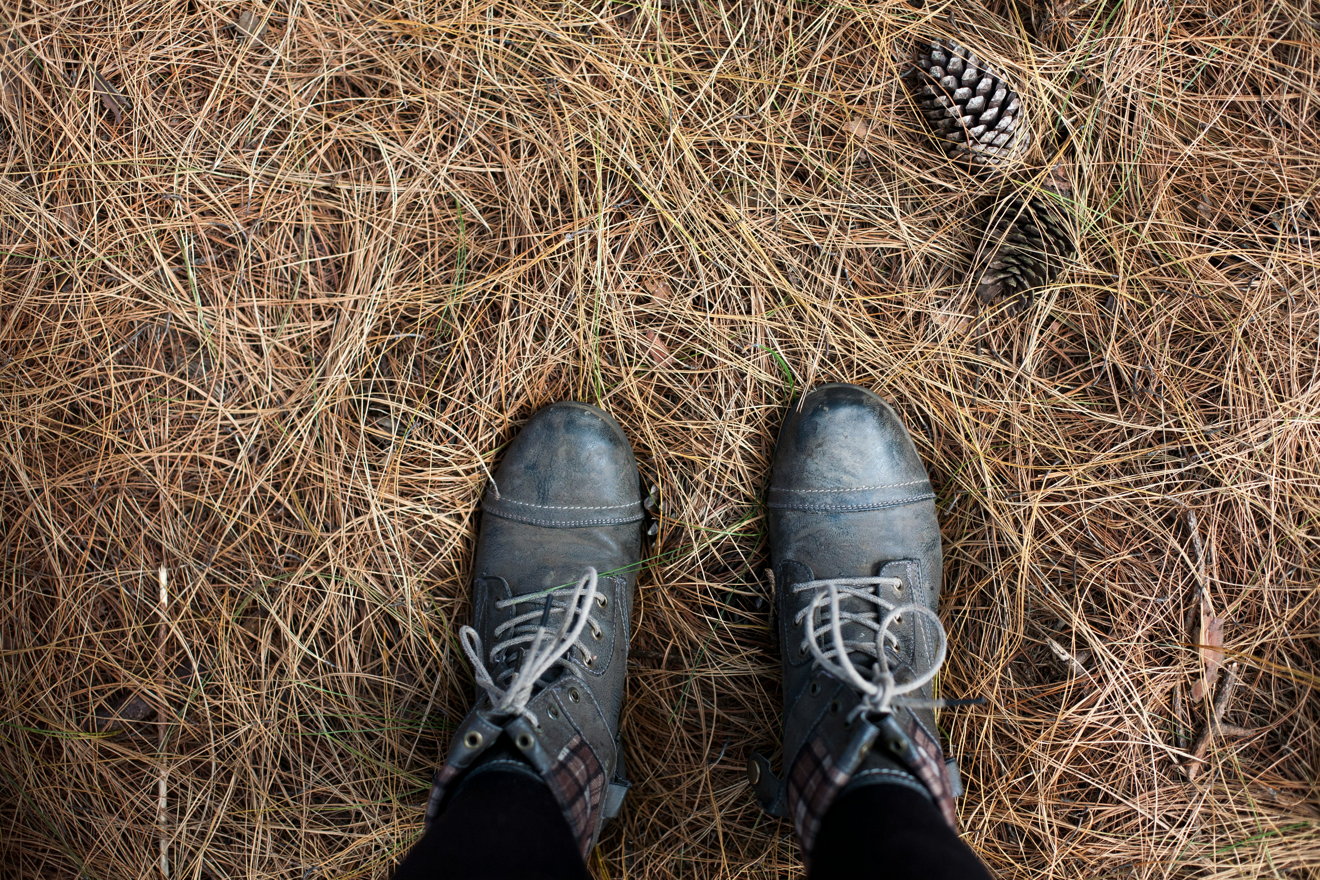 person wearing pair of black work boots in nature